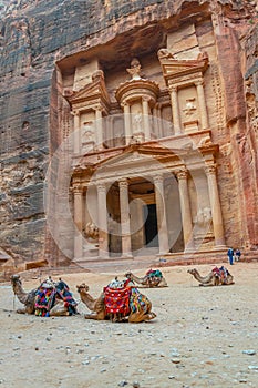 Camels laying in front of the Al Khazneh tomb also called Treasury at Petra, Jordan