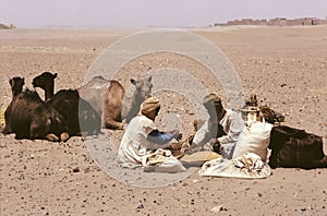 Camels and men