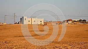 Camels outside Arab Village