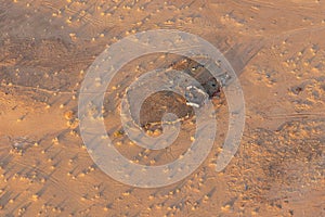 Camels in a paddock in the Saudi Arabian desert, seen from a hot air balloon