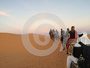 Camels riding into the sunset