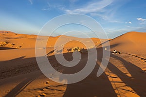 Of camels on the sand in Sahara desert, Erg Chebbi, Merzouga, Morocco