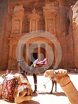 CAMELS AND THE TREASURY, PETRA, JORDAN