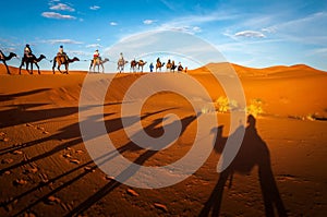 Camels trekking guided tours in the Sahara desert Merzouga Morocco