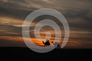 Camels walking over sand dunes against dramatic skies at Sam sand dunes