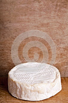 Camembert cheese photo