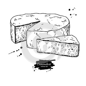 Camembert cheese block and triangle drawing. Vector hand drawn food sketch. photo