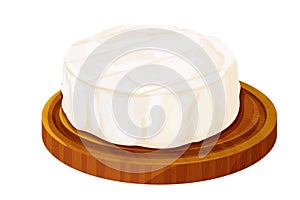 Camembert cheese, brie french soft creamy food on wooden tray in cartoon style isolated on white background.