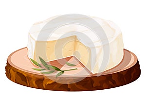Camembert cheese, brie french soft creamy food on wooden tray in cartoon style isolated on white background.