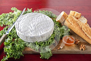 Camembert cheese on green salade photo