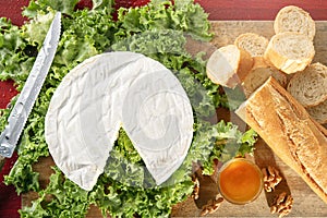 Camembert cheese on green salade with baguette bread photo