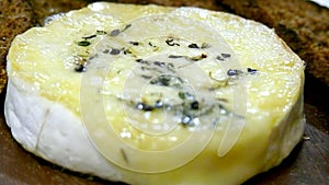 Camembert cheese with thyme photo