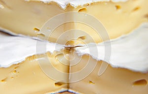 Camembert cheese with white mold, extremely close-up