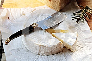 Camembert french cheese Normandy France