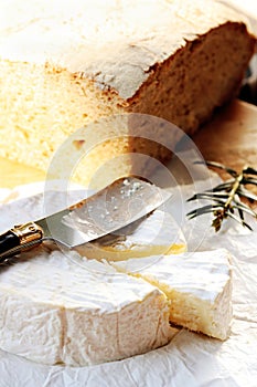 Camembert french cheese Normandy France