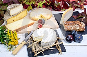 Camembert of Normandy with different cheeses