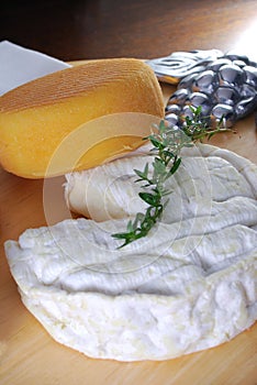 Camembert and port salut cheese photo