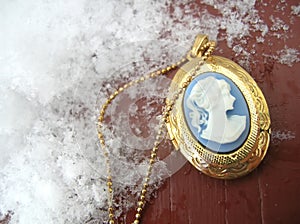 Cameo Necklace in the Snow photo