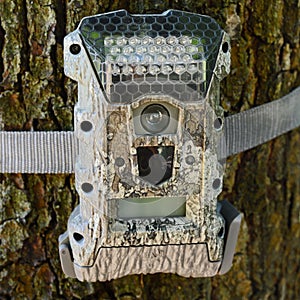 Camera attached to a tree, used by hunters to spy wild animals.