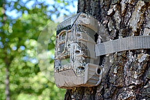 Camera attached to a tree, used by hunters to spy wild animals.