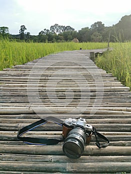 Camera on bridge wildgrass