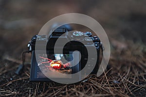 Camera on dry grass shooting a Halloween pumpkin with a scary face and a candle in it