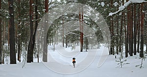 The camera flies through a winter forest and a dog runs in front of it