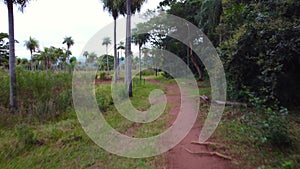 The camera following the path near to coco trees