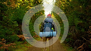 Camera Follows Active Healthy Caucasian Tourist With Backpack Walking in sunshine Wood. Male Traveler With Walks Along