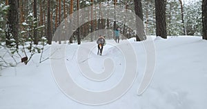 The camera follows a dog carrying a frisbee to its owner on a walk in forest