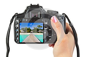 Camera in hand and beach landscape