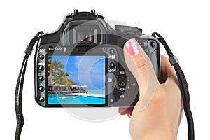 Camera in hand and beach landscape