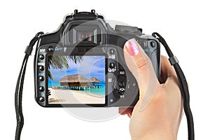 Camera in hand and beach landscape