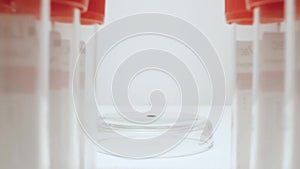 Camera with a macro lens moves past two rows of empty test jars