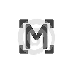 Camera manual mode vector icon