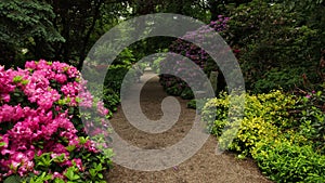 Camera move along pathway, purple, red, white flowers covering bush and trees.