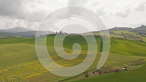 The camera moves smoothly over a green field with dandelions. There are trees in the distance. Italy, Toskana.