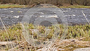 Camera is moving over clean fresh water of a forest stream running over mossy rocks.