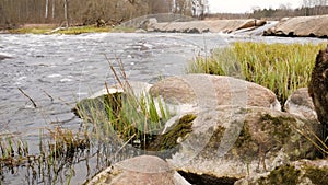 Camera is moving over clean fresh water of a forest stream running over mossy rocks.