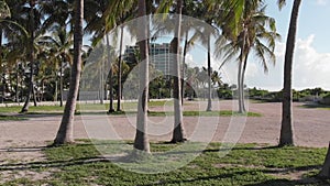 Camera moving slowly through palm trees on Miami Beach, Florida.