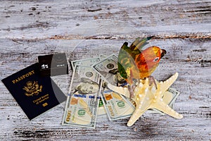 camera passport and parrot money for vacations on sea star wood background