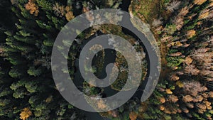 Camera rises above river curve in forest on autumn day