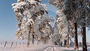 Camera takes a bottom up and offer an overview of the winter alley.