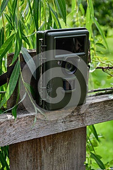 Camera trap with infrared light and motion detector attached with straps on a wooden fence