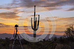 Camera On A TriPod With Desert Sunrise & Cactus In Background