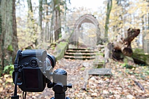 Camera on a tripod in the woods