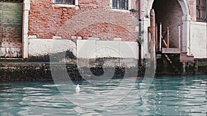 Camera zooms in on beautiful atmospheric red building on Venice canal, Italy with beautiful blue water and seagull on it