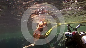 Cameraman shoots video young woman underwater model.