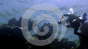 Cameraman shoots video young woman underwater model mermaid.