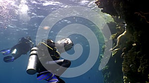 Cameraman shoots video young woman underwater model mermaid.